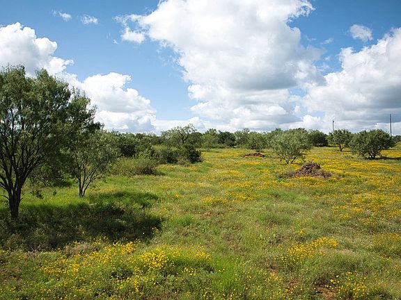 3rd image of 806 S Highway 377