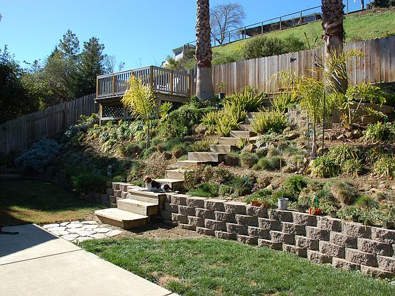 Left side of the yard