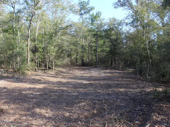 3491 Twin Pond Rd, Vernon, FL 32462