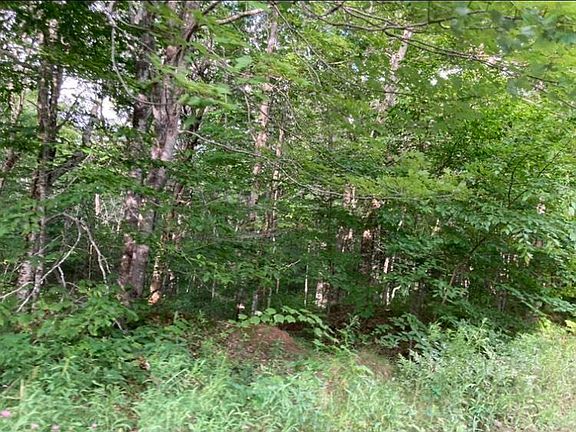 4th image of Simons Rd