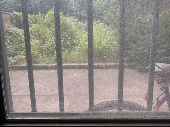 8 East 128th Street image 10 of 13