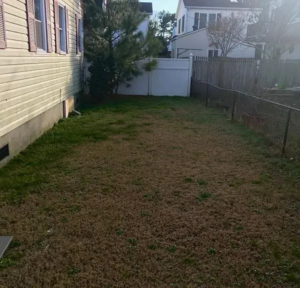 Back Yard pat friendly