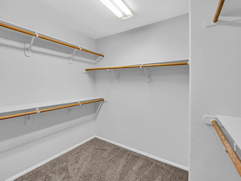 1009 Black Olive St — Photo 14