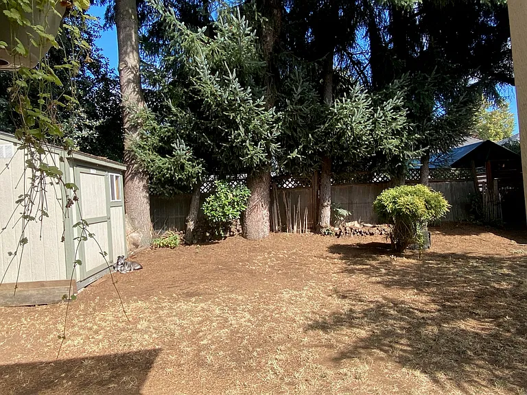 1025 N Church St — Photo 33