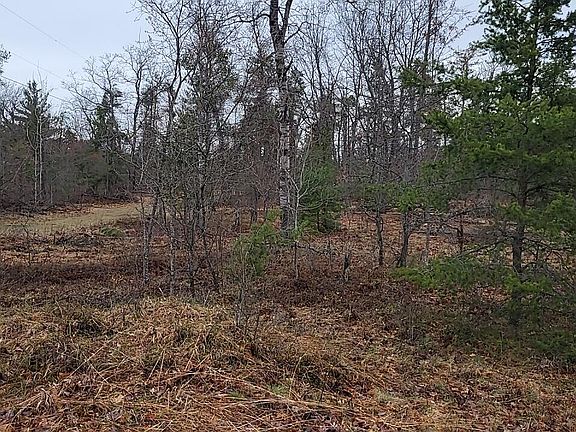 3rd image of 4031 Diamond Dr
