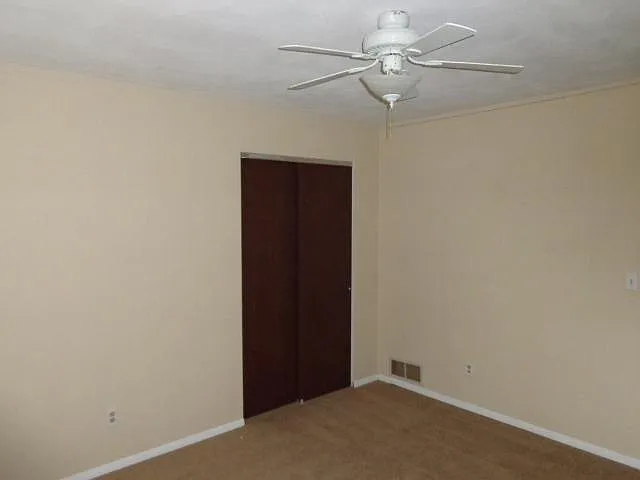 314 Cook St — Photo 8
