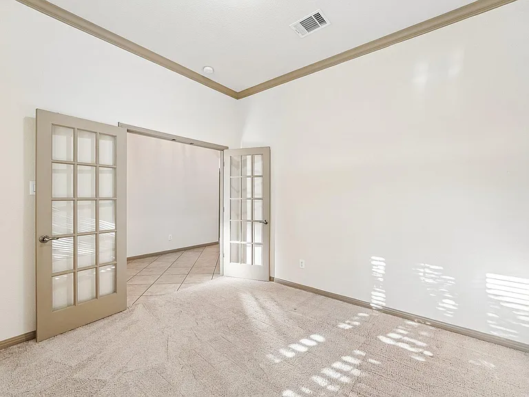 10028 Lisi Anne Dr — Photo 19