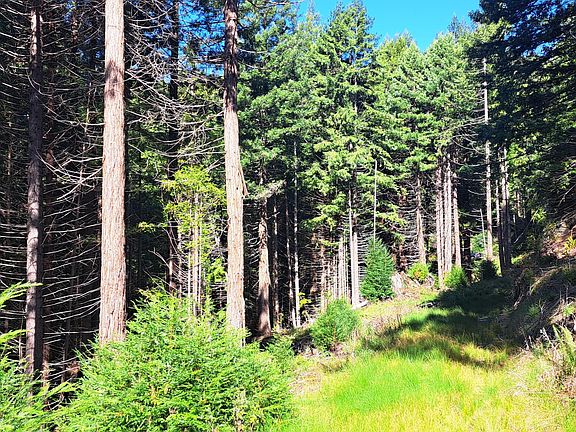 2nd image of 403.131042 Redmond Rd