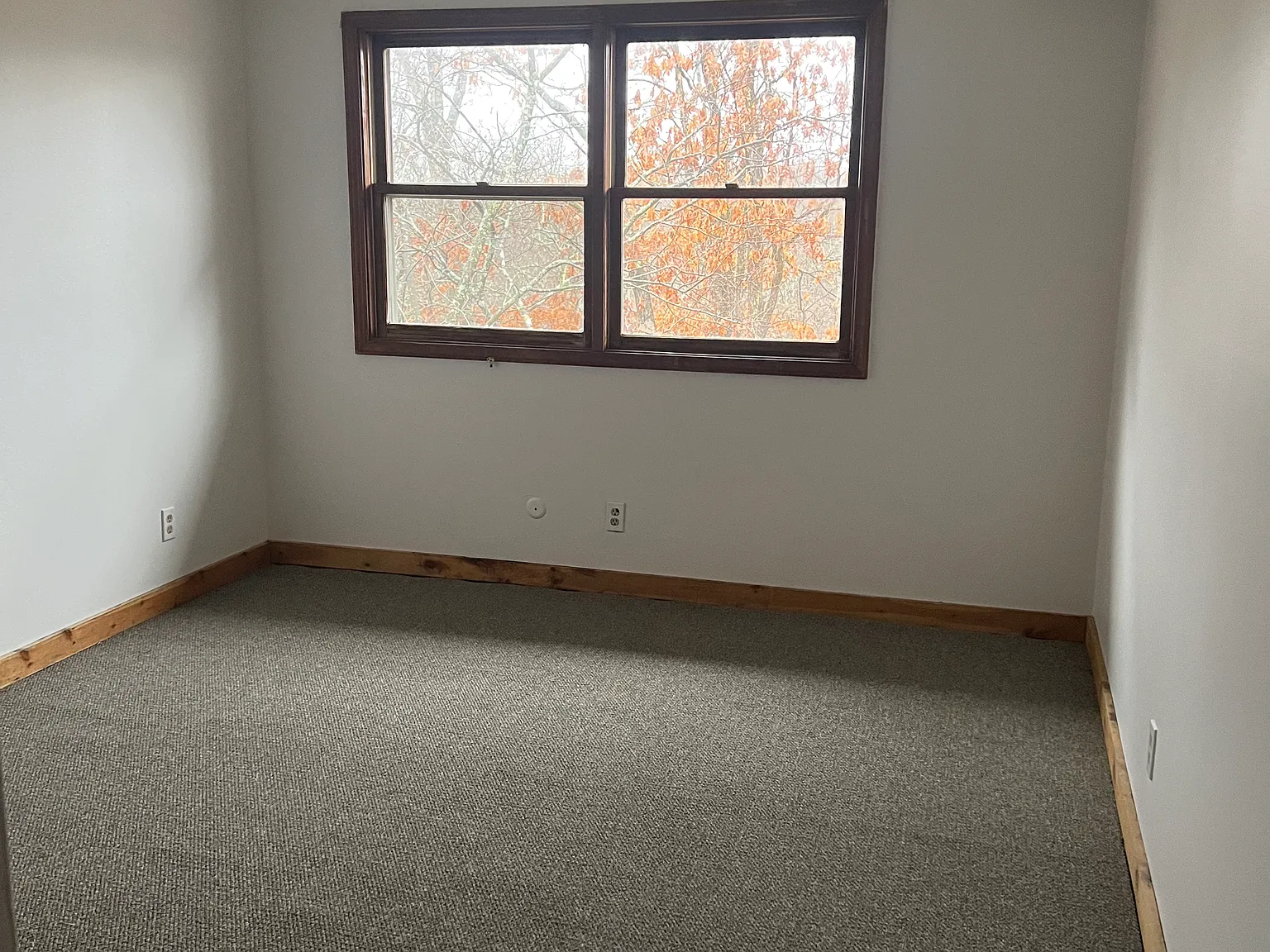 2 bed, 800 sqft, $1,095 — Photo 3
