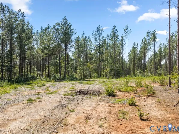 0 Algerene Rd, Drakes Branch, VA 23937