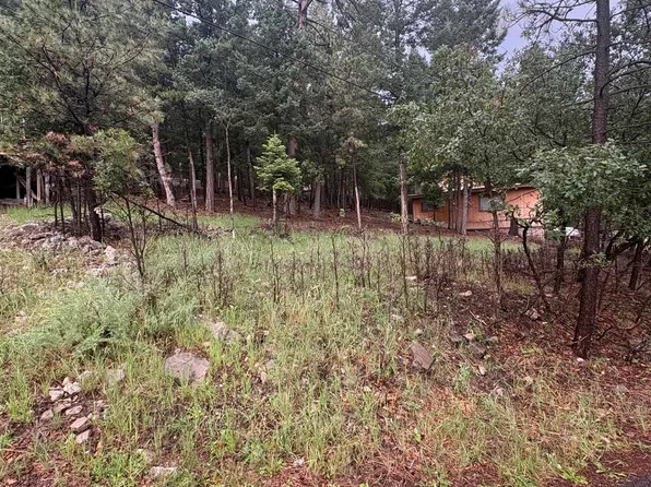 1106 Burro Ave #2, Cloudcroft, NM 88317