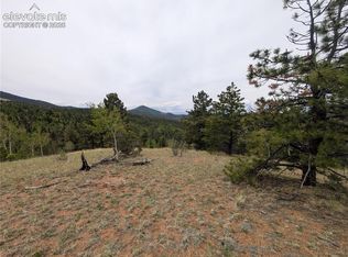 16 Princess Ln, Cripple Creek, CO 80813