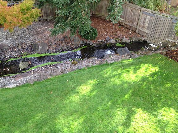 Year-round stream