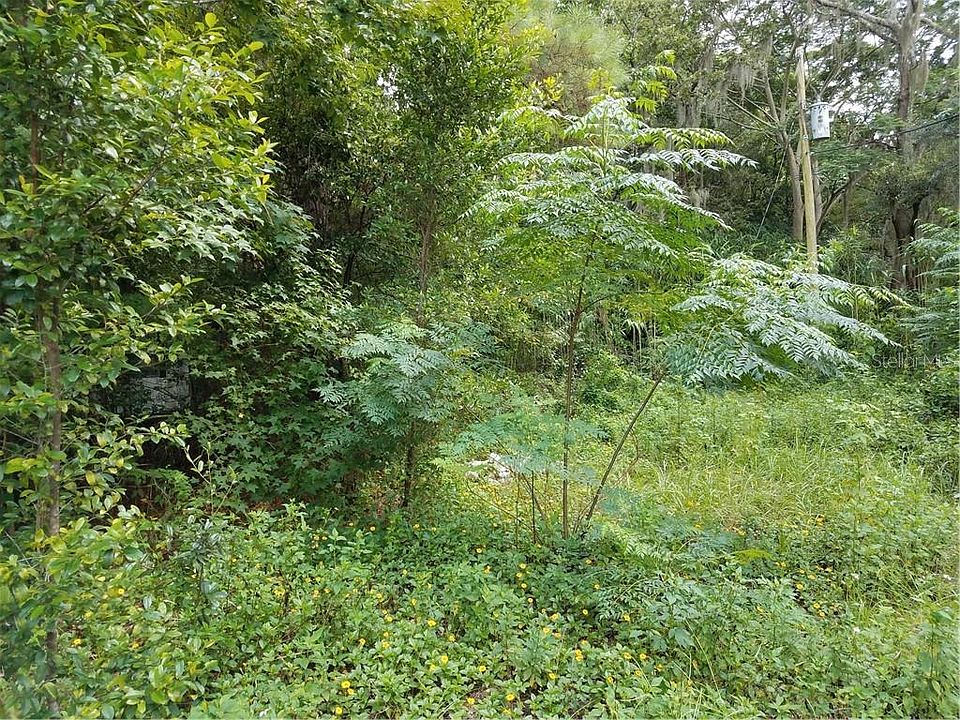 2nd image of 15344 Lancer Rd