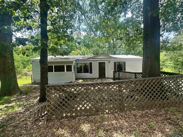 161 Coppedge Smith Rd, Harleton, TX 75651