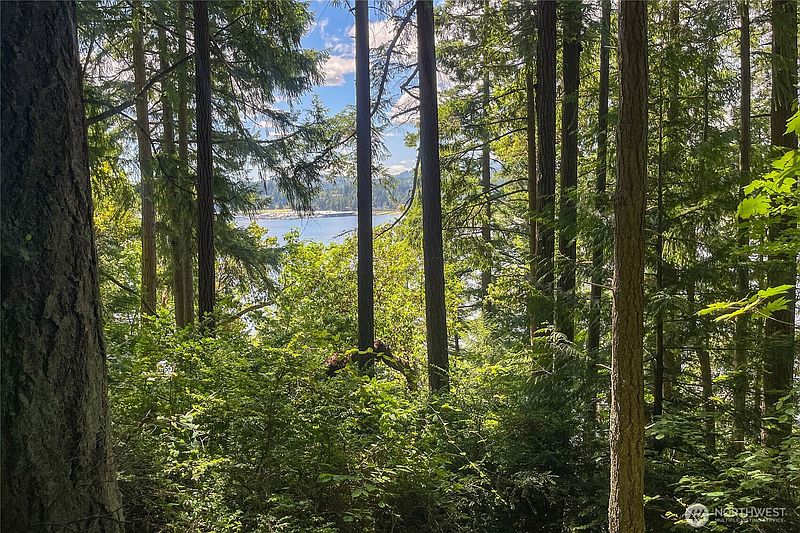 3rd image of 3 NW Sulphur Springs Lot 3