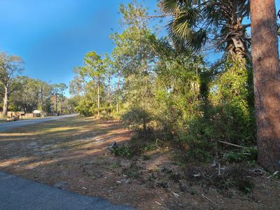 LOT 38 Mardon Cir, Paisley, FL, 32767