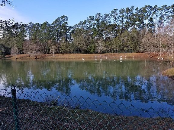 Back Lake view