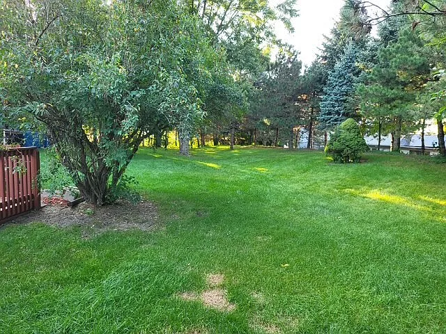3 bed, 1325 sqft, $2,400 — Photo 4