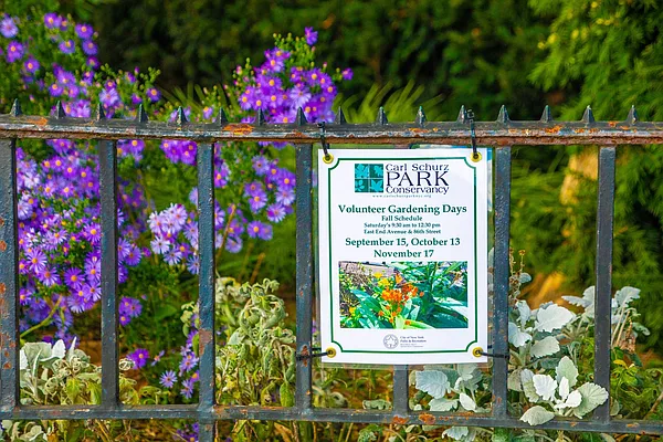 Rented by Douglas Elliman | media 6