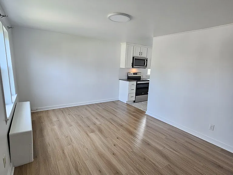 Living room (From front entrance door)