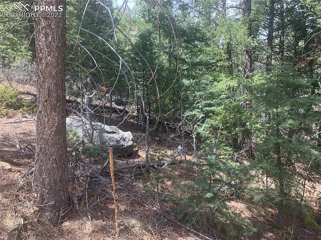 3435 Little Turkey Creek Rd, Colorado Springs, CO 80926 Zillow