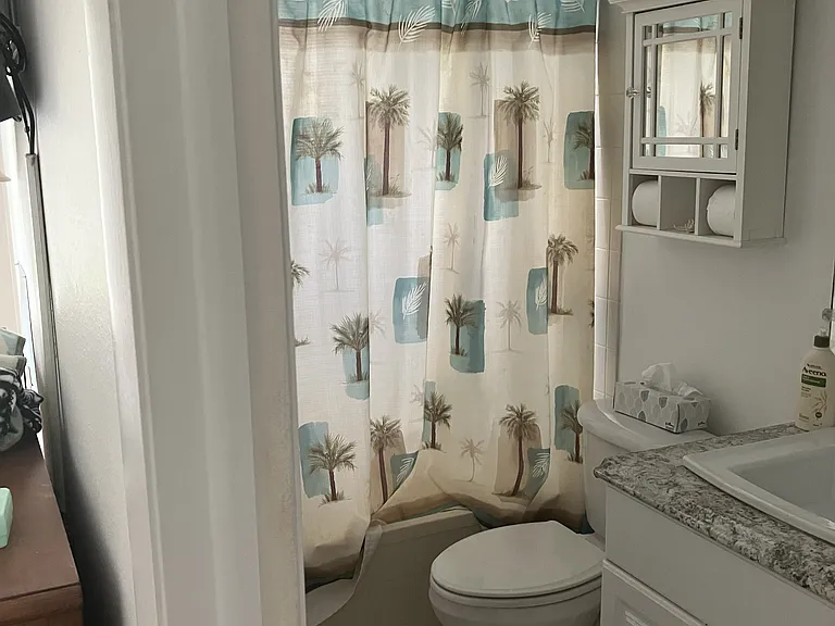 1525 Portsmouth Lake Dr #1 — Photo 5