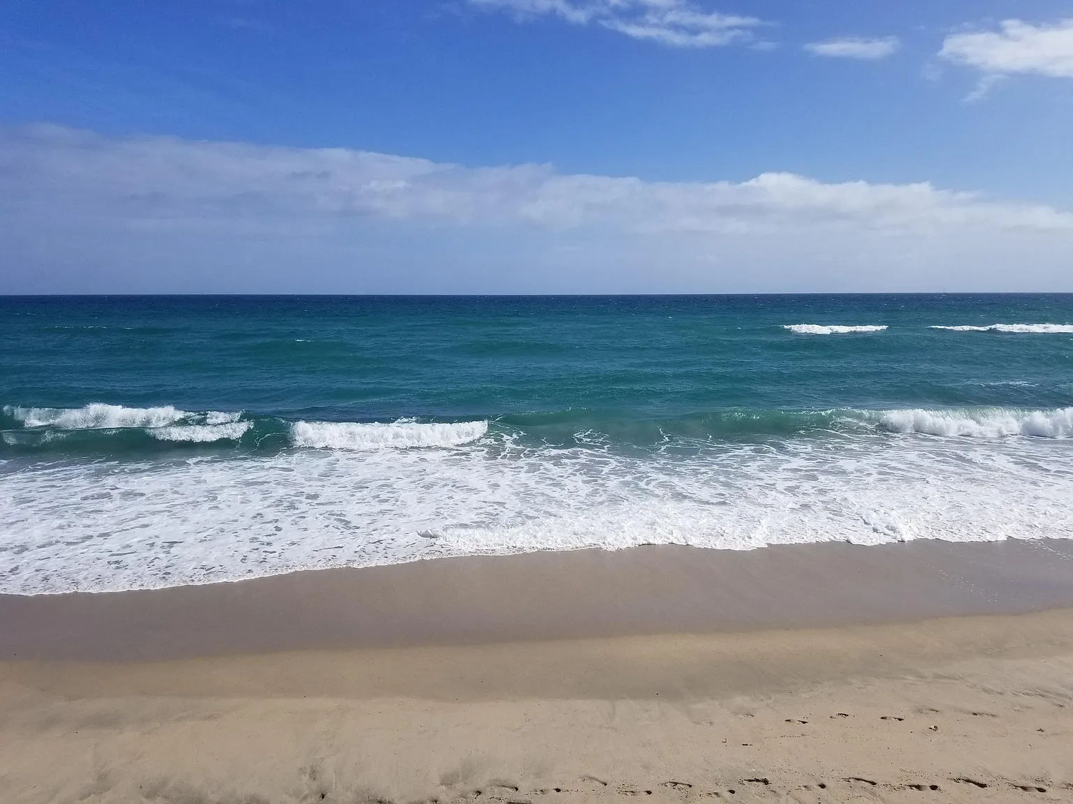 1 bed, 1.5 bath, 785 sqft, $2,000 — Photo 4