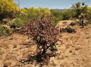 16387 W Powderhorn Dr, Tucson, AZ 85736