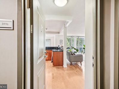 7333 New Hampshire Ave APT 311, Takoma Park, MD, 20912