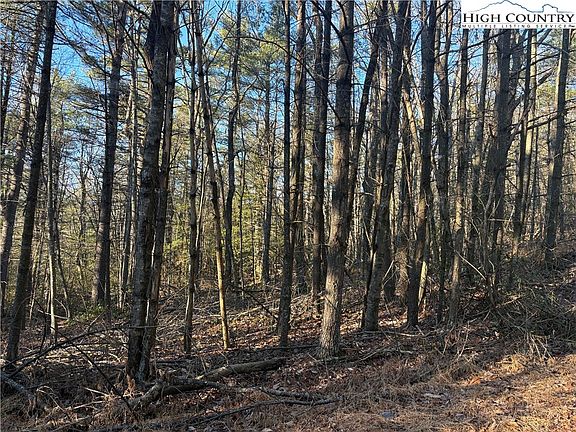 3rd image of Lot #24 Eagles Nest Lane