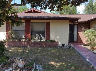22 S Flag Dr, Kissimmee, FL 34759