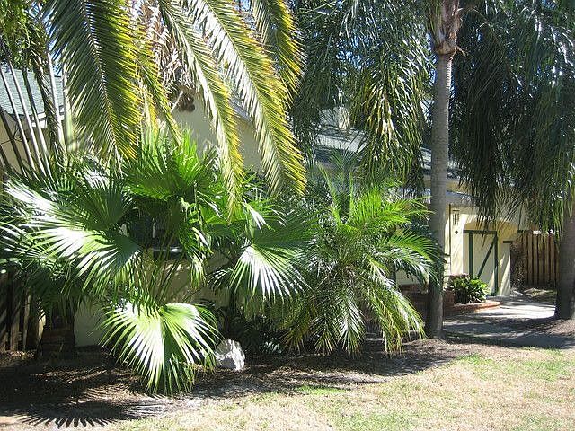 2nd image of 1607 15th St N