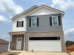 308 Chimney View Loop, Blountville, TN 37617