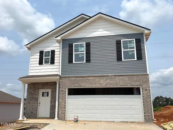 308 Chimney View Loop, Blountville, TN 37617