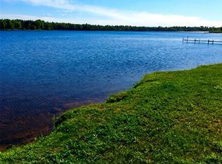 32993 W Birch Shores Dr, Trout Lake, MI 49793