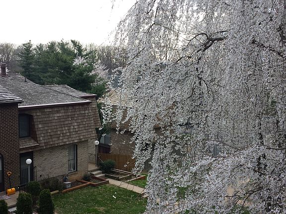 2nd image of 4934 Herkimer St