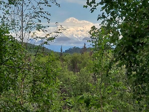 20499 E Rampart Loop, Talkeetna, AK 99676