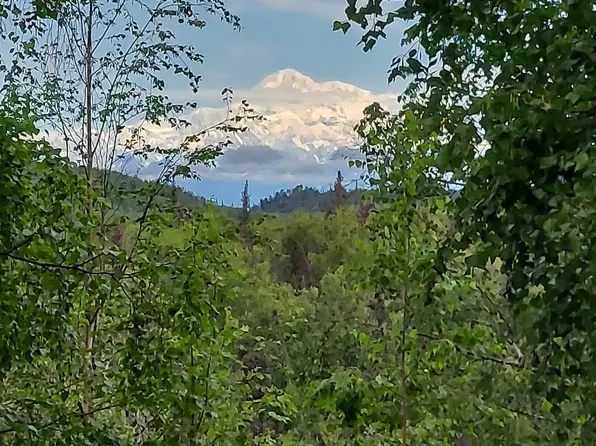 20499 E Rampart Loop, Talkeetna, AK 99676