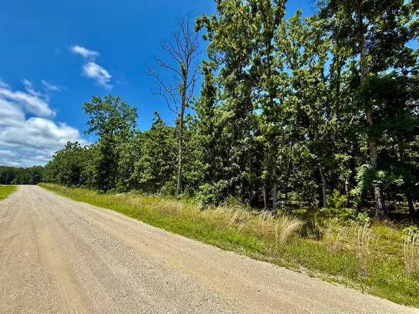 000 John David Drive, Licking, MO 65542