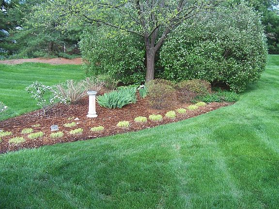5th image of 519 Willowhurst Pl