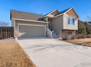 7360 Dunes St, Wellington, CO 80549