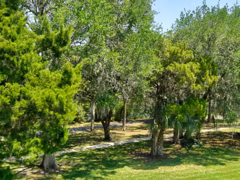 100 Palm Harbor Pkwy #16 — Photo 24