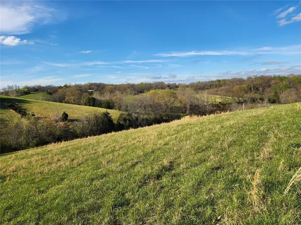0 County Ln Tract 1, Jackson, MO 63755