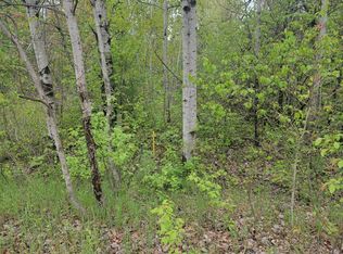 LOT 42 E Roberta Dr, Roscommon, MI 48653