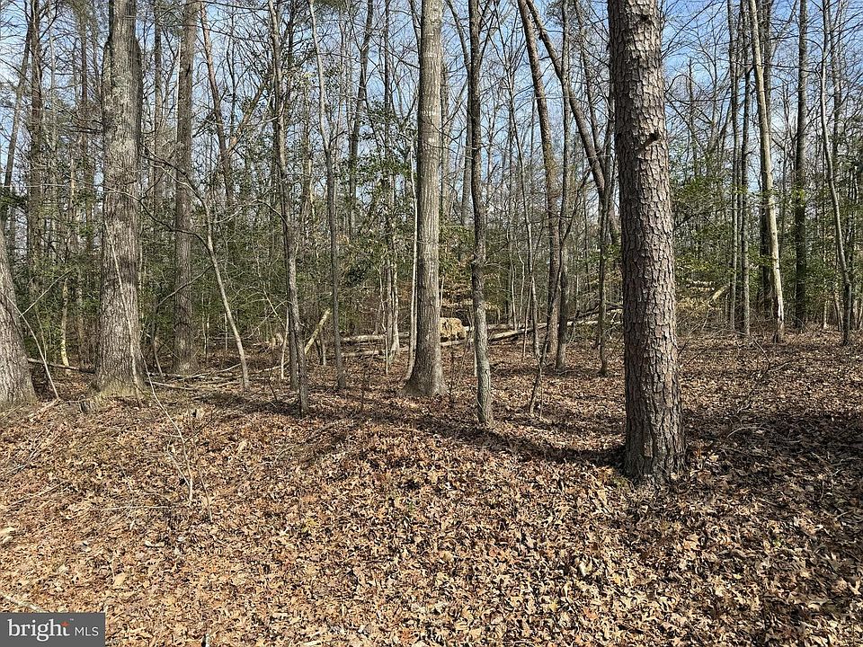 2nd image of LOT 9A Park Ave