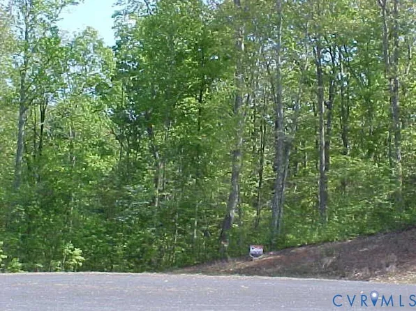 0 Lake Pointe Ct Lot 29, Pamplin, VA 23958