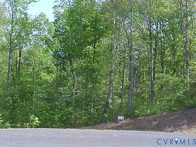0 Lake Pointe Ct Lot 29 photo 1