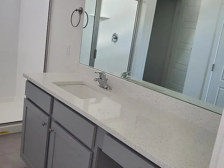 Master sink and vanity area