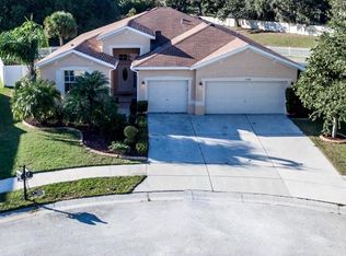 11302 Bridge Pine Dr, Riverview, FL 33569